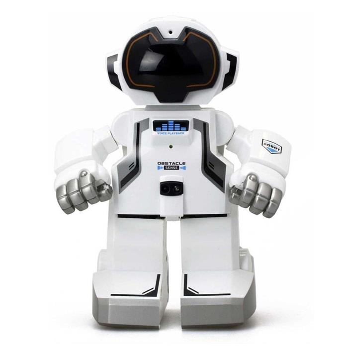 Silverlit Echo-Bot Robot 88308