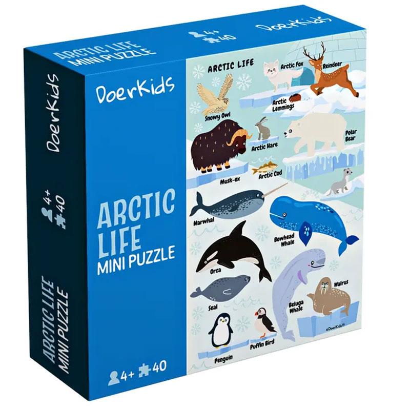 DoerKids Kuzey Kutbu Hayvanları Mini Puzzle 40 Parça